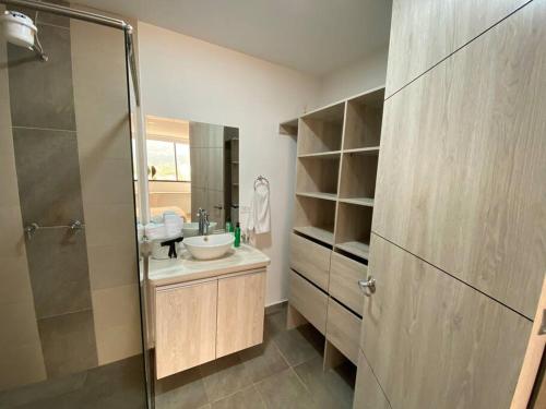 La salle de bains est pourvue d'un lavabo et d'une douche. dans l'établissement Apartamento completo en exclusivo sector 401, à Ibagué