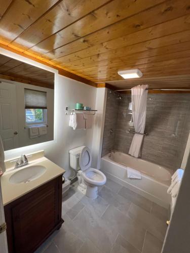 a bathroom with a toilet and a tub and a sink at Smoky Falls Lodge in Maggie Valley