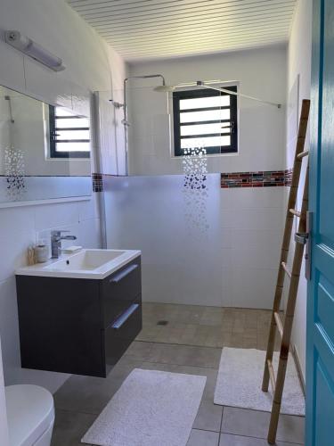 a bathroom with a sink and a toilet at VOIR com 5 étoiles airb, Villa Zolenzo, la tête dans les montagnes, 10 pers in Petit-Bourg