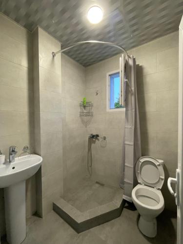 een badkamer met een douche, een toilet en een wastafel bij Zaali's wine cellar in Vani