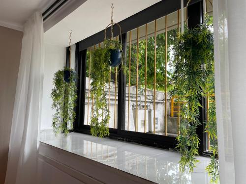Almond Apartment