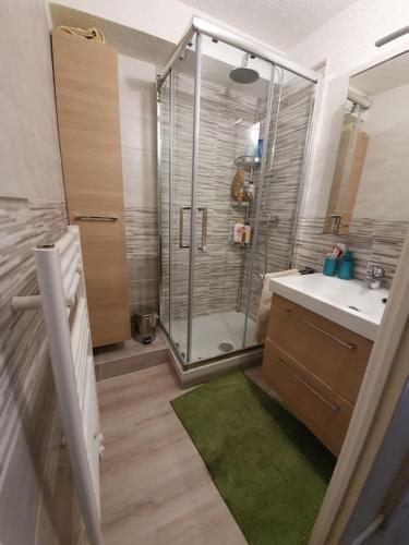 une salle de bain avec douche et lavabo dans l'établissement La Salle les Alpes : Charmant Appartement T2 30 M2, à La Salle Les Alpes