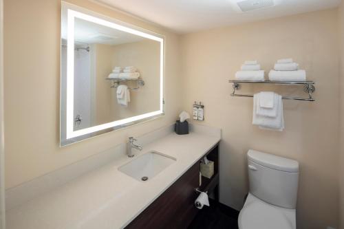 a bathroom with a sink and a mirror at Holiday Inn Victoria - Elk Lake by IHG in Victoria