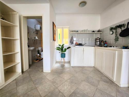 a kitchen with white cabinets and a potted plant at COZY STUDIO CLOSE TO THE BEACH! in Santa Maria