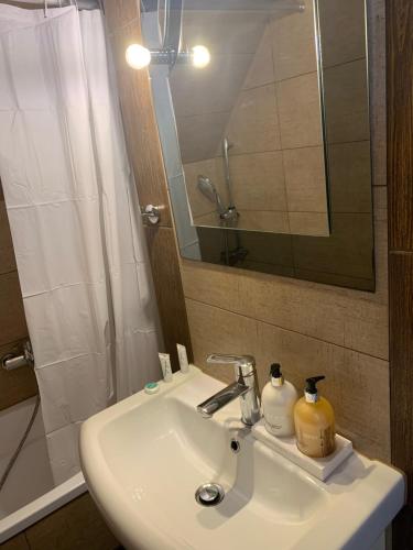 a bathroom sink with a shower and a mirror at Willa Sunshine Zakopane Chalet in Zakopane