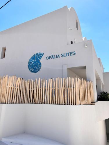 Fotografie z fotogalerie ubytování Opalia Suites v destinaci Perissa