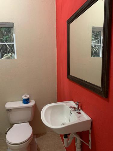 a bathroom with a toilet and a sink and a mirror at Kingsworth Bed and Breakfast in Kingston