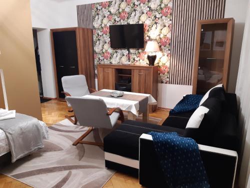 Televisyen dan/atau pusat hiburan di Max Apartament okolice Energylandia Zator