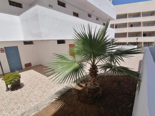 Studio in Parque Cattleya, Playa de las Americas
