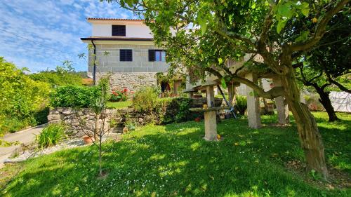 a house with a tree in the yard at Casa Caminho da Ponte in Monção