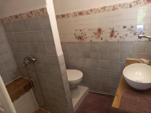 a bathroom with a toilet and a sink at Wellness Vejminek na farmě u koní in Milešov