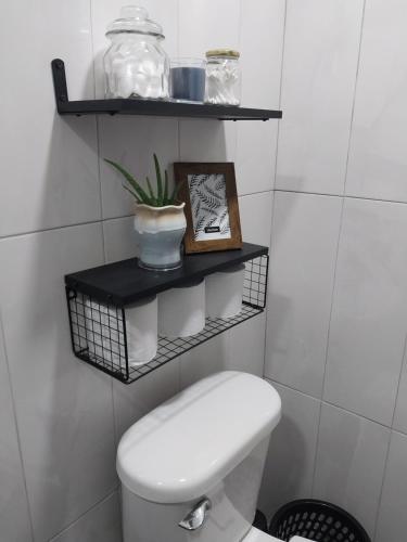 a bathroom with a toilet and a shelf with a plant at Samm's Studio Apartment in Hyde Park