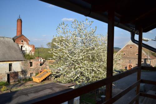 a view of a tree with white flowers on it at Penzion Dvůr Krasíkov in Kokašice