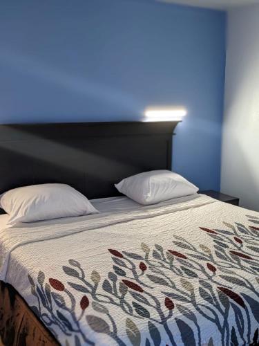 1 cama con 2 almohadas y pared azul en Budget Inn Alexandria, en Alexandria