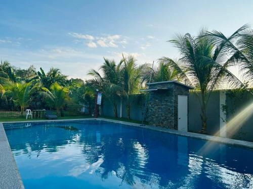 ein Pool mit Palmen und ein Gebäude in der Unterkunft Hill View Home Stay in Panglao