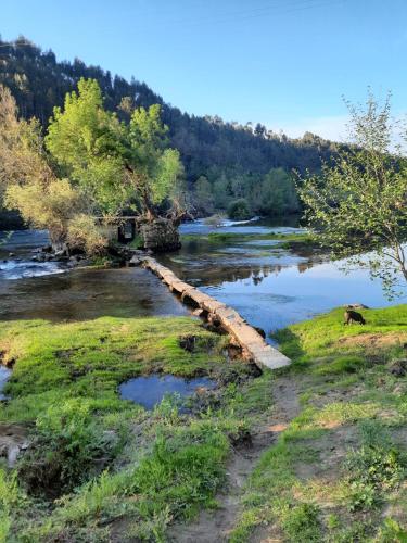 a river with a bridge in the middle of it at Casa Pedravedra in Mondim de Basto