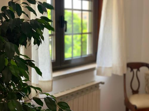a window in a room with a plant and a chair at Casa Pedravedra in Mondim de Basto