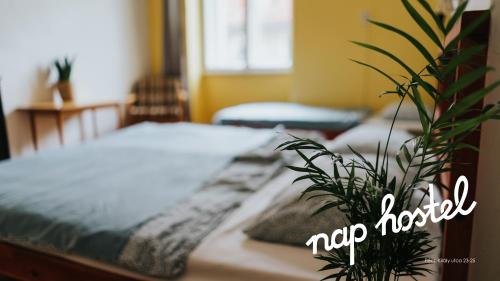 a bedroom with a bed with a plant on it at Nap Hostel Pécs in Pécs