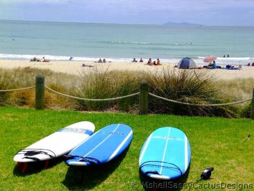 three surfboards sitting on the grass near a beach at The Bay The Beach The Mount The Best in Mount Maunganui