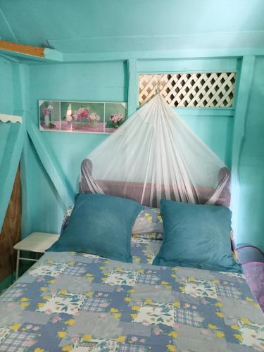 a bed in a blue room with a canopy at Charme d'antan in Gourbeyre