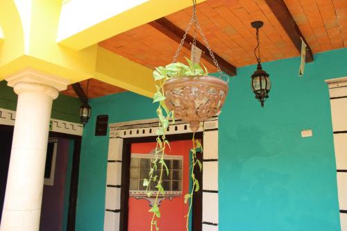 a potted plant hanging from the ceiling of a house at Hotel Guaranducha Inn in Campeche