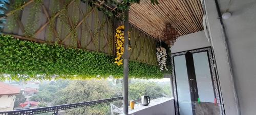a room with a window with green plants on the wall at Green Homestay in Hanoi
