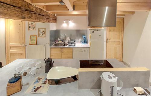 Kuhinja ili čajna kuhinja u objektu Gorgeous Apartment In Les Estables With Wifi