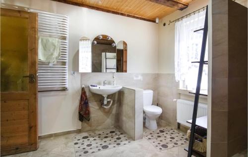 a bathroom with a sink and a toilet at Pet Friendly Home In Szczytno With Wifi in Szczytno