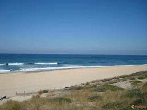 Photo de la galerie de l'établissement Appartement T2 - 3 pers - à 400m de la plage, centre station, avec loggia - Biscarrosse Plage - FR-1-521-120, à Biscarrosse-Plage
