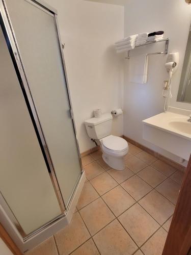 a bathroom with a toilet and a sink at Westwood Motel in West Yellowstone
