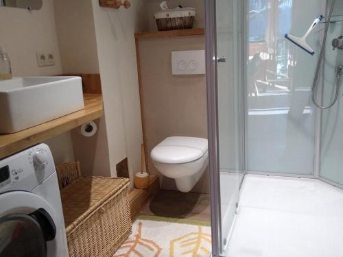 a bathroom with a toilet and a sink and a washing machine at Appartement Crest-Voland, 2 pièces, 6 personnes - FR-1-733-52 in Crest-Voland