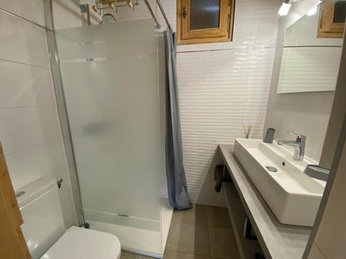 une salle de bain avec toilettes et lavabo dans l'établissement Studio 4 pers. rénové, proximité pistes & commerces, balcon/terrasse, parking privé - FR-1-733-98, à Crest-Voland