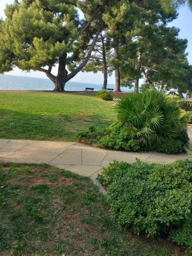 a walkway in a park with trees and grass at Olivia in Poreč