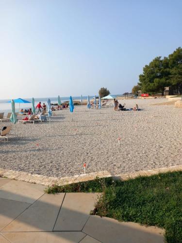 a group of people sitting on a beach with umbrellas at Olivia in Poreč