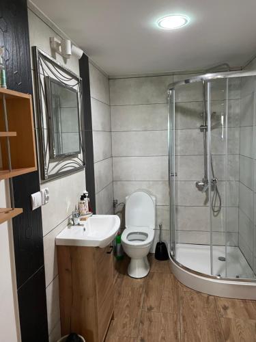 een badkamer met een douche, een toilet en een wastafel bij Dom nad rzeką in Neple