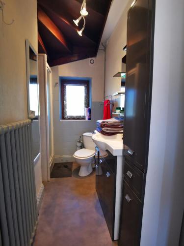 une petite salle de bain avec toilettes et lavabo dans l'établissement Chez Sandrine - Chambres avec pension ou demi pension, à Gray-la-Ville