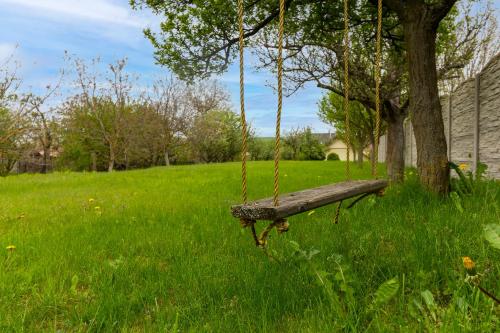 a swing hanging from a tree in a field of grass at Apartmánový dům Vilémovice in Vilémovice