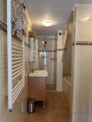 Ένα μπάνιο στο Salt Apartment