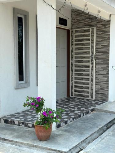 uma porta da frente de uma casa com dois vasos de flores em DeAsmarra Homestay em Tanjung Piandang