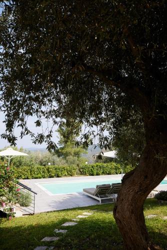 Gallery image of Sithonian Villa in Neos Marmaras