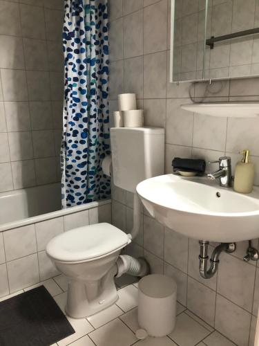 a white bathroom with a toilet and a sink at Ferienwohnung am Grütt in Lörrach