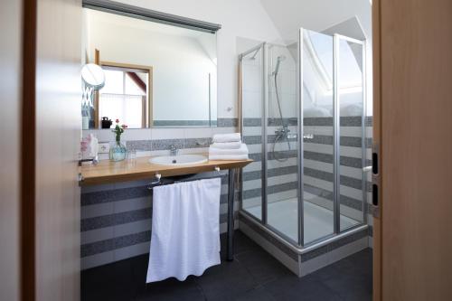 uma casa de banho com um lavatório e um chuveiro em Hotel Mainpromenade ***S em Karlstadt