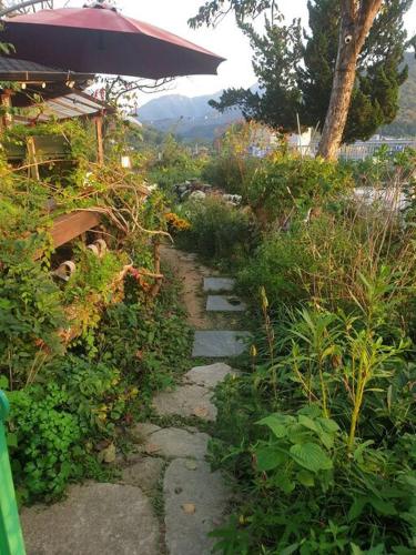 a stone path leading to a garden with an umbrella at Gugangjae Hanok Stay in Jeonju