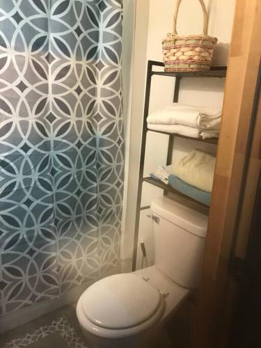 a bathroom with a toilet and a blue and white wall at A Quaint, Private 1 Bdrm Apt in South Bend