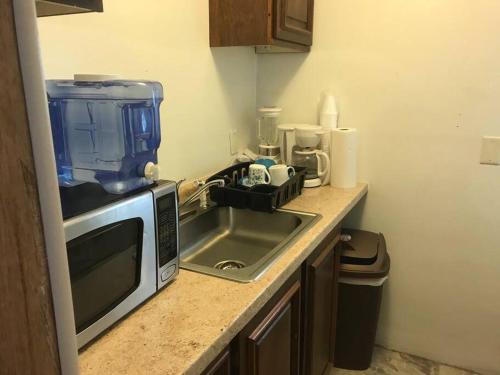 a kitchen counter with a microwave and a sink at A Quaint, Private 1 Bdrm Apt in South Bend