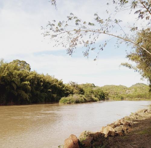 a view of a river with trees in the background at Green Hope Lodge in Cat Tien