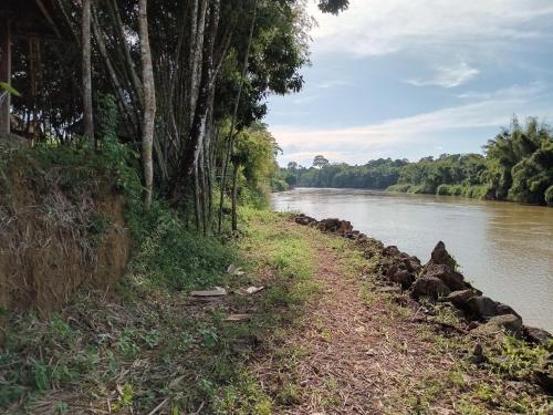 a path next to a river with trees at Green Hope Lodge in Cat Tien
