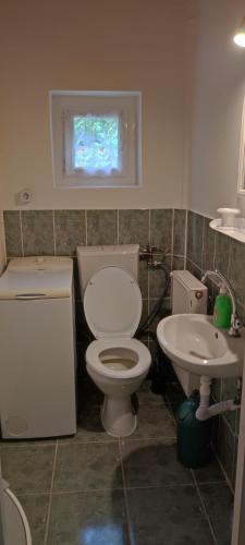 a bathroom with a toilet and a sink at Casa Bănucu in Satu Mare