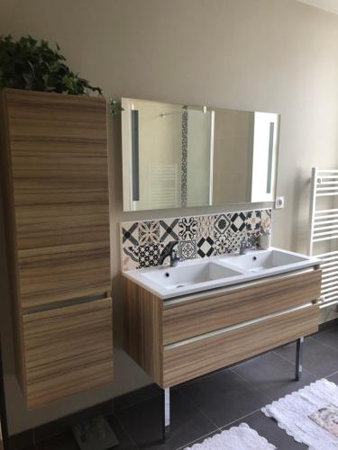 a bathroom with a sink and a mirror at Jardin des Plantes in Le Mans