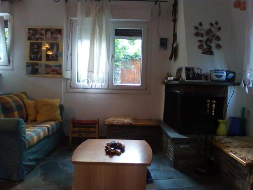 a living room with a couch and a coffee table at Ginî Viñis in Samarína